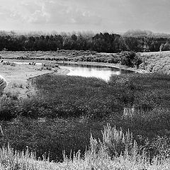 photo "On the steep slope"