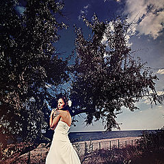 фото "Wedd"