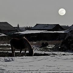 фото "Обычный вечер"