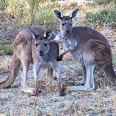 photo "Family Portrait"