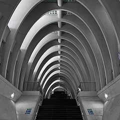 фото "Liège-Guillemins"