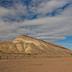 photo "Lonely guard"