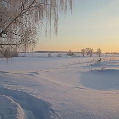 фото "Весенним утром..."