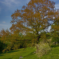 photo "Dreaming of spring"