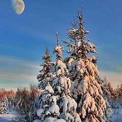 фото "холодный вечер"