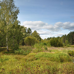 фото "Летний день"