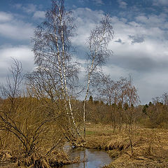 фото "Ранняя весна"