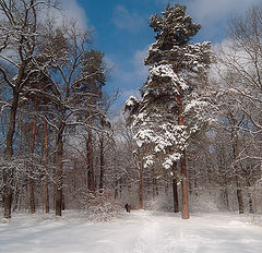 фото "На зимней прогулке"