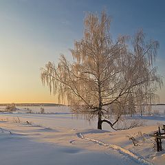 фото "В ожидании весны..."