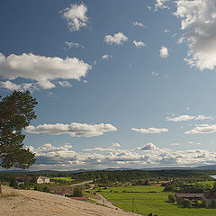 photo "In the seven winds"