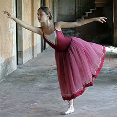 фото "danza"