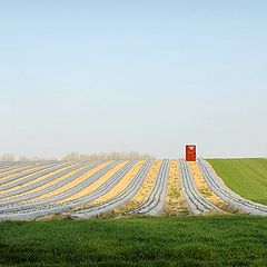 photo "wc in the field"