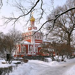 фото "в Новодевичьем монастыре"