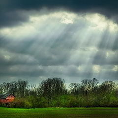 photo "Light Rays"