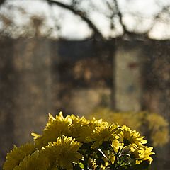 фото "Городские...(...отражения)"