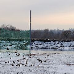 фото "Городской пляж зимой. Брянск. 2011г."