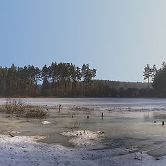 photo "Spring panorama"