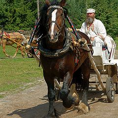 фото "1913-й ..."