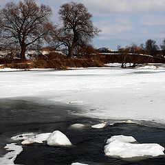 фото "Весенний пейзажик:)"