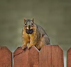 photo "Weight Watchers ??"