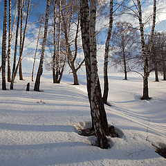 фото "Апрель."