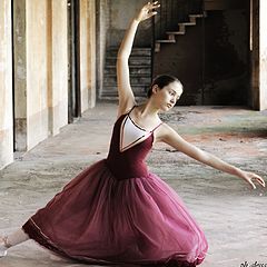 фото "danza classica"