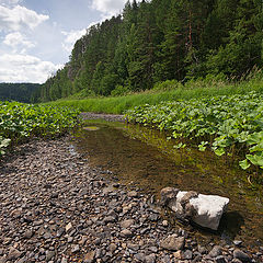 фото "Летний этюд / 0184_0190"