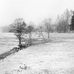 фото "Апрель"