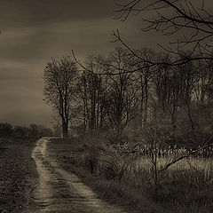 photo "Solitary Lane"