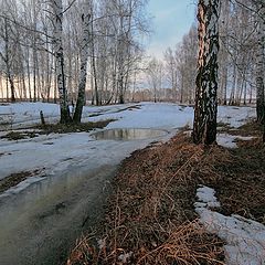 фото "Распутный с лужами апрель"