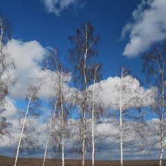 фото "Апрель"