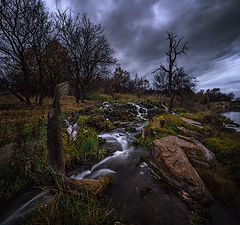 фото "Где трепещут осины"