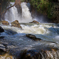 photo "Banias-2"