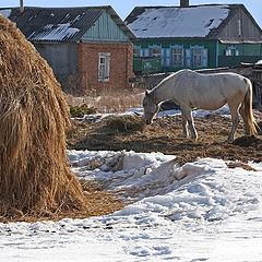 фото "За двором"