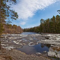 фото "Торжество весны"