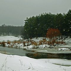 фото "Снежный апрель 2012."