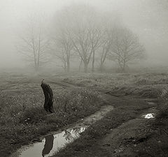 photo "***"