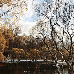 фото "Прогулка...."