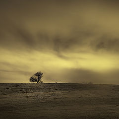 photo "One"