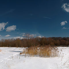 фото "Яркий март"