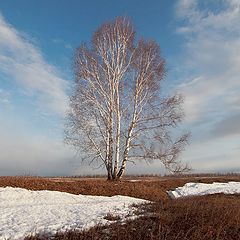 фото "Предпасхальное утро"