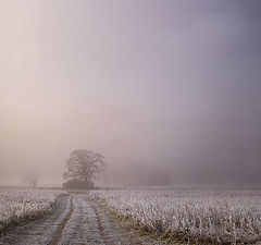 photo "***"