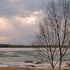 фото "Весна"