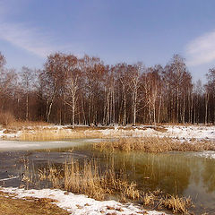 фото "Апрель"