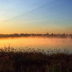 photo "Early morning"