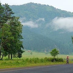 photo "Morning walk"