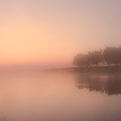 photo "***"