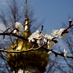 фото "Весенние...(храмы)"