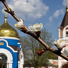 фото "Весенние...(храмы)"