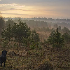 photo "Facing the day"